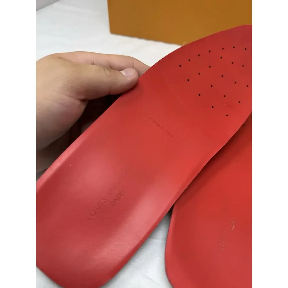 Louis Vuitton authentic louis